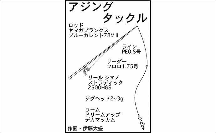 冬の陸っぱりライトゲーム本番 アジ メバル両本命を手中 三重 年2月21日 エキサイトニュース