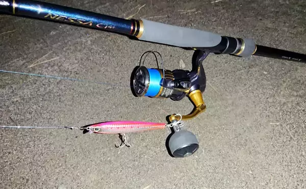 「宮崎サーフで話題の「オオニベ」手中　ドラグ止まらぬサカナの正体は？」の画像