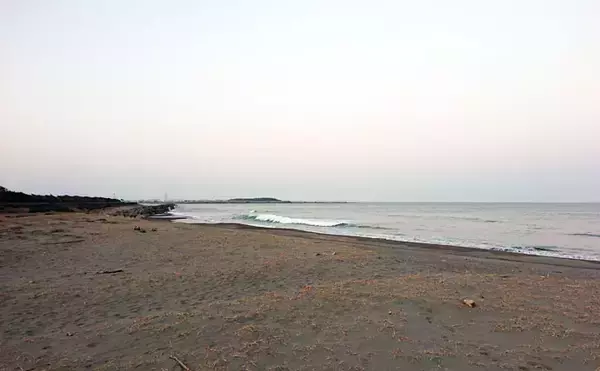 「宮崎サーフで話題の「オオニベ」手中　ドラグ止まらぬサカナの正体は？」の画像