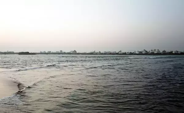 「宮崎サーフで話題の「オオニベ」手中　ドラグ止まらぬサカナの正体は？」の画像