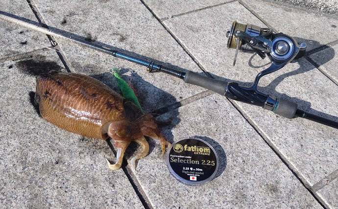 コウイカ用「エギ」カスタマイズ法　3つの手順で簡単＆コスパも良好