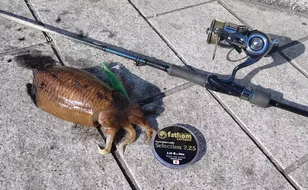 「コウイカ用「エギ」カスタマイズ法　3つの手順で簡単＆コスパも良好」の画像