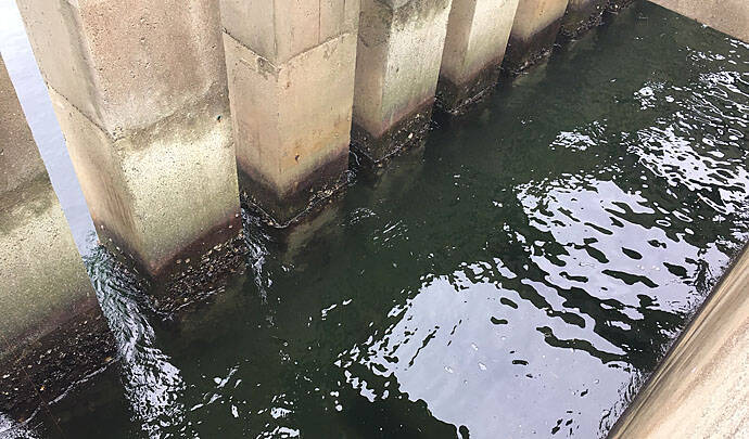 大阪湾年2月 チヌ落とし込み状況 水温高めで状況次第で2ケタも 年3月1日 エキサイトニュース