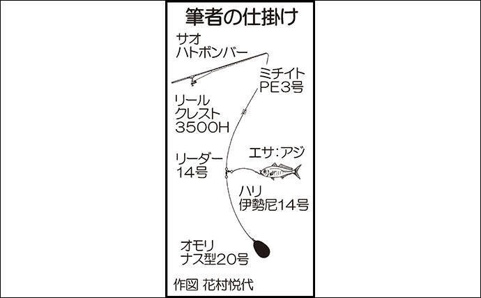 海釣り公園でアジを泳がせ80cmブリを手中 福岡 脇田海釣り桟橋 年2月27日 エキサイトニュース