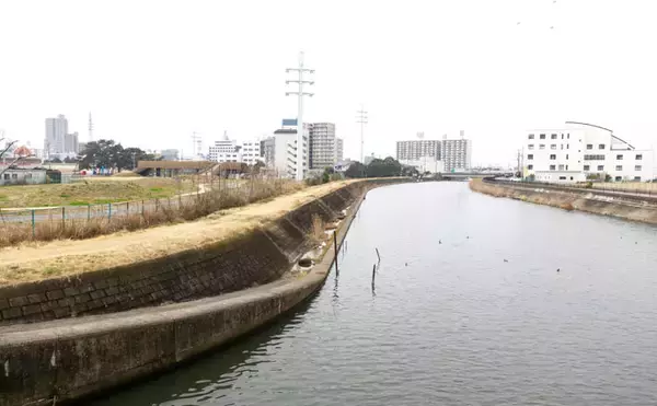 「今週のヘラブナ推薦釣り場【茨城県・土浦新川】」の画像