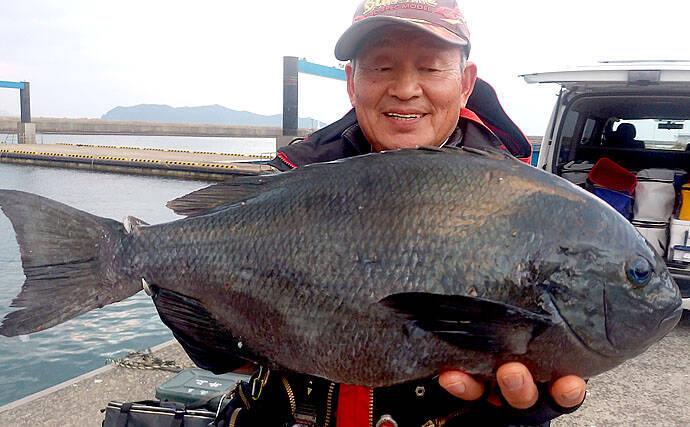 磯釣りの楽園 五島列島 遠征釣行 49cm頭に良型グレ乱舞 長崎 年3月5日 エキサイトニュース