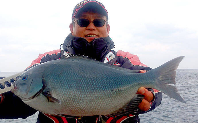 磯釣りの楽園 五島列島 遠征釣行 49cm頭に良型グレ乱舞 長崎 年3月5日 エキサイトニュース