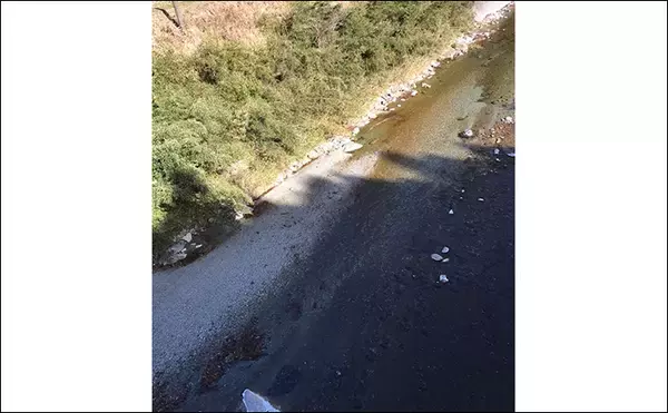 「【2020渓流解禁直後】おすすめアマゴ釣り場紹介：櫛田川上流／三重県」の画像
