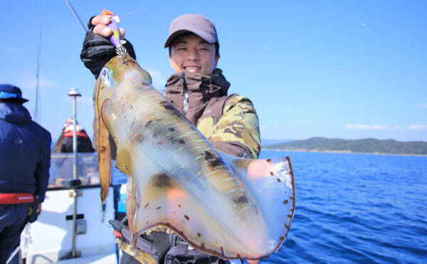 ティップランで1 5kg超アオリイカに2kg超コウイカ シーズナル 年3月6日 エキサイトニュース