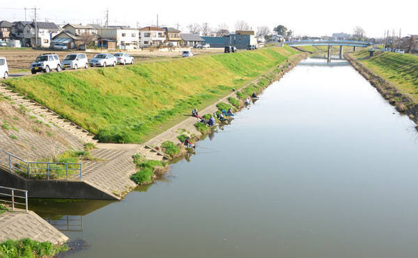 今週の推薦ヘラブナ釣り場 埼玉 新河岸川放水路 年3月10日 エキサイトニュース