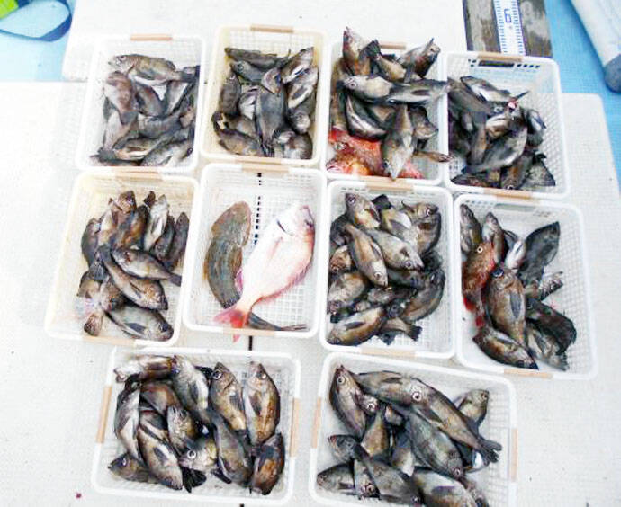 大分県 熊本県 沖釣り最新釣果 53cmブランド 関サバ など 年3月10日 エキサイトニュース