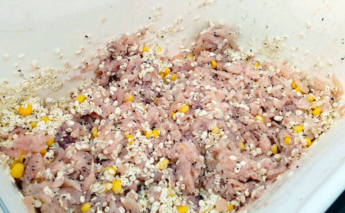 清水港 クロダイ乗っ込みが前倒しスタート 3つの攻略法を紹介 年3月12日 エキサイトニュース