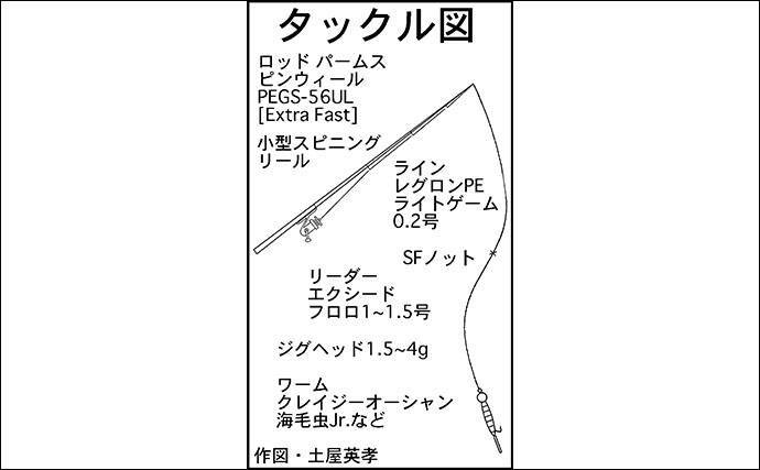 波止ライトゲーム賑やか 新子タチウオにセイゴにメバル 名古屋港 年3月22日 エキサイトニュース