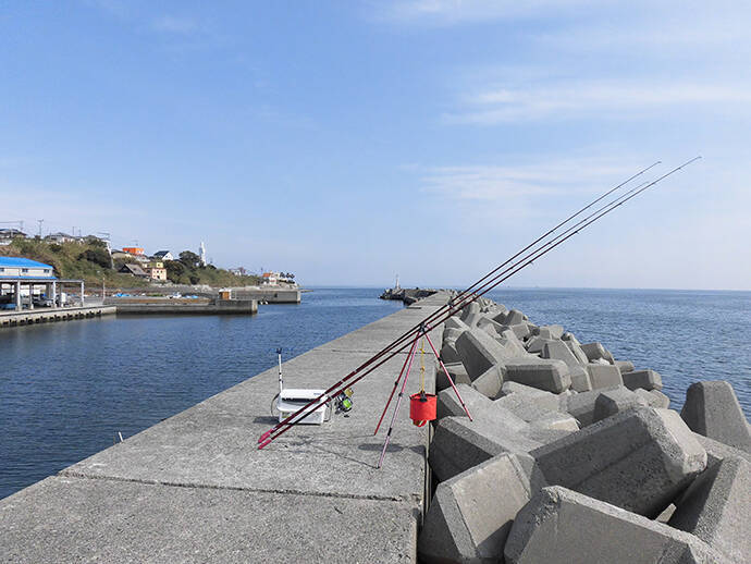 『花見カレイ』オススメ釣り場：釜口漁港　数は南側で型は北側に実績