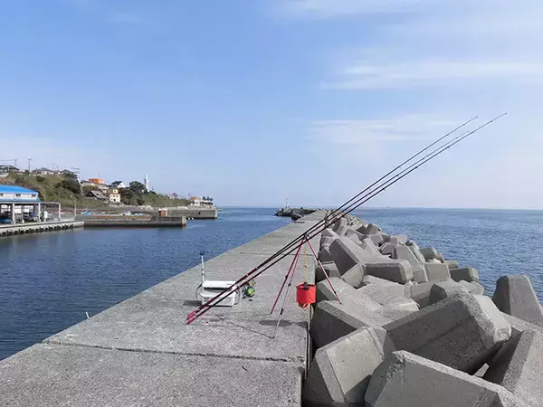 「『花見カレイ』オススメ釣り場：釜口漁港　数は南側で型は北側に実績」の画像