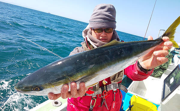 愛知県 沖のエサ釣り最新情報 泳がせ釣りで良型ワラサにヒラメ浮上 年3月17日 エキサイトニュース