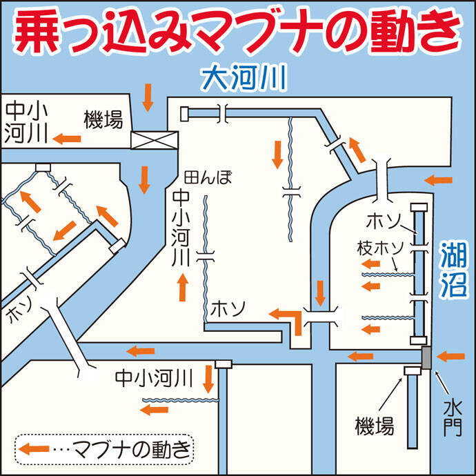 関東春 ホソで狙う乗っ込み期のマブナ釣り解説 入門に最適 年3月21日 エキサイトニュース