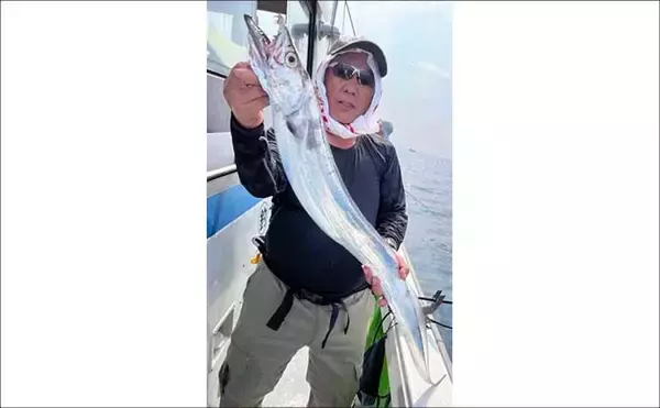 「【沖釣り釣果速報】指8本幅ドラゴン級も浮上！タチウオ便で良型続出（大分・熊本）」の画像
