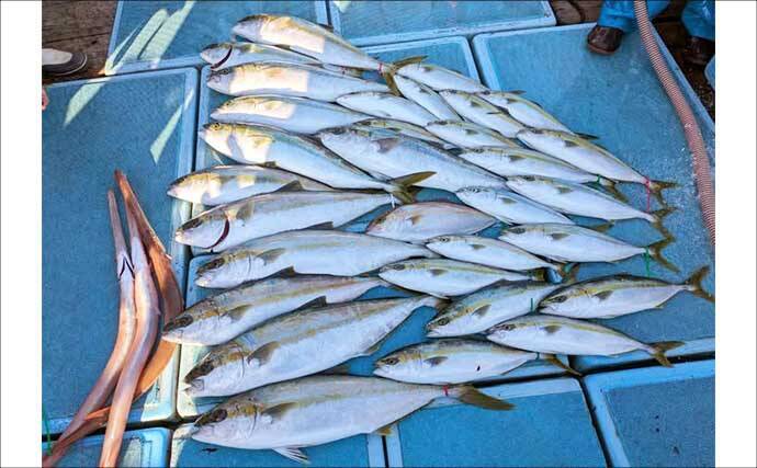 【沖釣り釣果速報】芦屋沖の落とし込み釣りで100cmの大ヒラマサ降臨！船中青物67尾の爆釣劇（福岡）