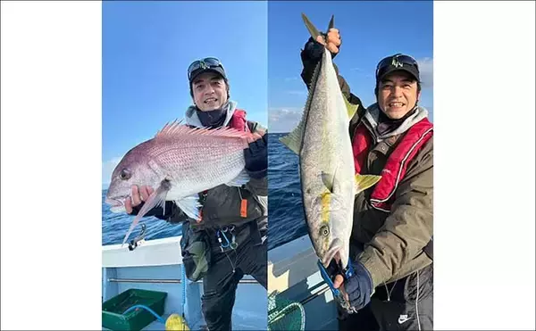 「【沖釣り釣果速報】芦屋沖の落とし込み釣りで100cmの大ヒラマサ降臨！船中青物67尾の爆釣劇（福岡）」の画像