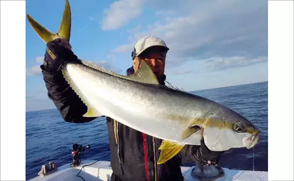 「【沖釣り釣果速報】芦屋沖の落とし込み釣りで100cmの大ヒラマサ降臨！船中青物67尾の爆釣劇（福岡）」の画像