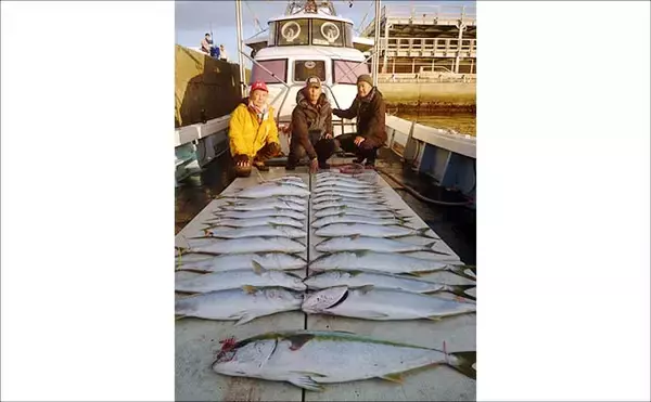 「【沖釣り釣果速報】芦屋沖の落とし込み釣りで100cmの大ヒラマサ降臨！船中青物67尾の爆釣劇（福岡）」の画像