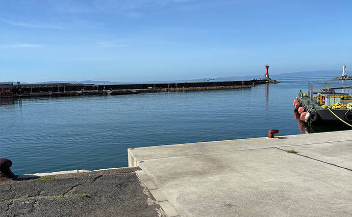 深日港でのライトショアジギングでアジ5尾を手中【大阪】ジグサビキにヒット