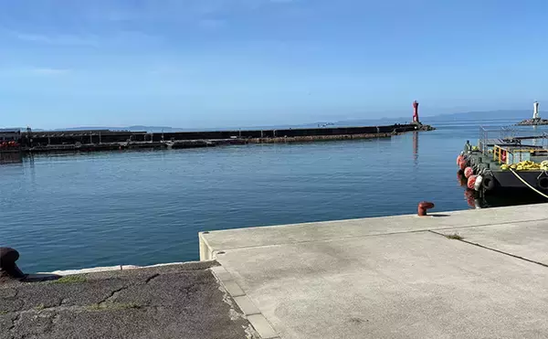 「深日港でのライトショアジギングでアジ5尾を手中【大阪】ジグサビキにヒット」の画像