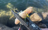 「深日港でのライトショアジギングでアジ5尾を手中【大阪】ジグサビキにヒット」の画像4