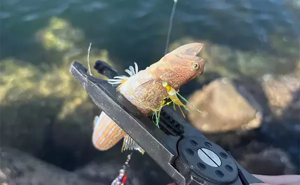 「深日港でのライトショアジギングでアジ5尾を手中【大阪】ジグサビキにヒット」の画像