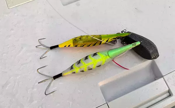 「小川直也さん参加の『タコ釣り大会』に密着　4.9kg巨大マダコが登場！」の画像