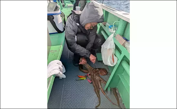 「小川直也さん参加の『タコ釣り大会』に密着　4.9kg巨大マダコが登場！」の画像