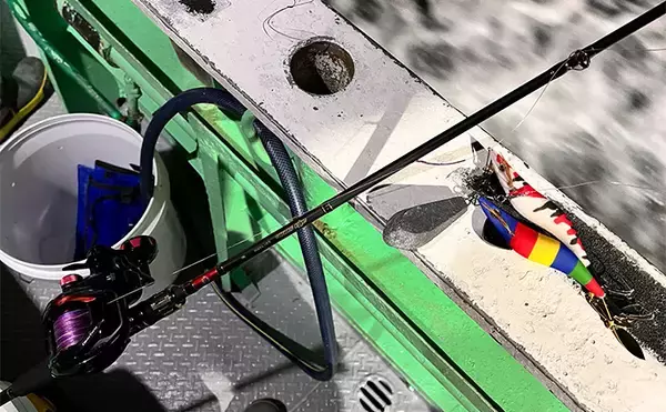 「小川直也さん参加の『タコ釣り大会』に密着　4.9kg巨大マダコが登場！」の画像