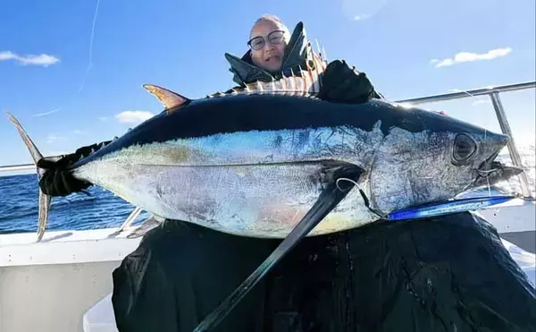 「【沖のルアー釣果速報】22.9kgタネトン手中！トンジギで大型連発の好況続く（三重）」の画像