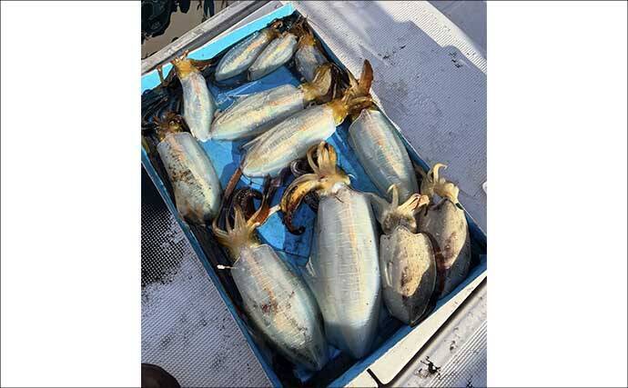 【沖のルアー釣果速報】22.9kgタネトン手中！トンジギで大型連発の好況続く（三重）