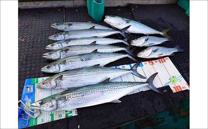 【沖のルアー釣果速報】22.9kgタネトン手中！トンジギで大型連発の好況続く（三重）