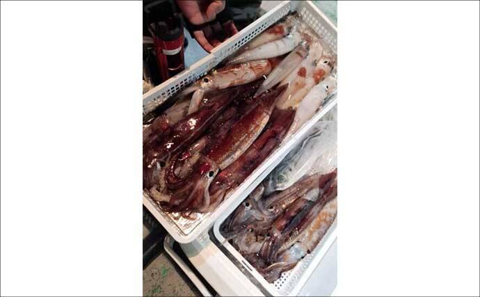 【沖のルアー釣果速報】22.9kgタネトン手中！トンジギで大型連発の好況続く（三重）