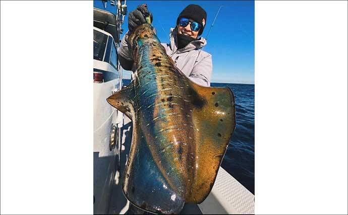 【沖のルアー釣果速報】22.9kgタネトン手中！トンジギで大型連発の好況続く（三重）