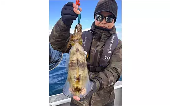 「【沖のルアー釣果速報】22.9kgタネトン手中！トンジギで大型連発の好況続く（三重）」の画像