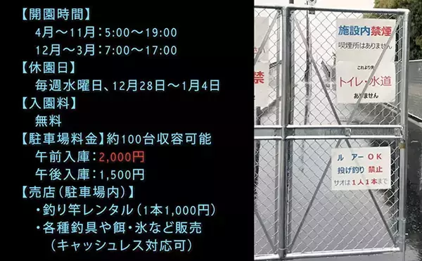 「「何が変わった？」南港魚つり園が4か月半ぶりに再開！【大阪】開園初日に釣りに行ってみた」の画像