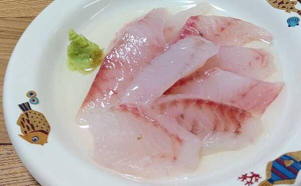 小型のメジナ グレ クロ のおいしい食べ方 クロ酢 刺身と酢がマッチ 22年1月16日 エキサイトニュース