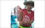 「【福井】沖釣り最新釣果　タイラバで80cm超えモンスターマダイ浮上」の画像2