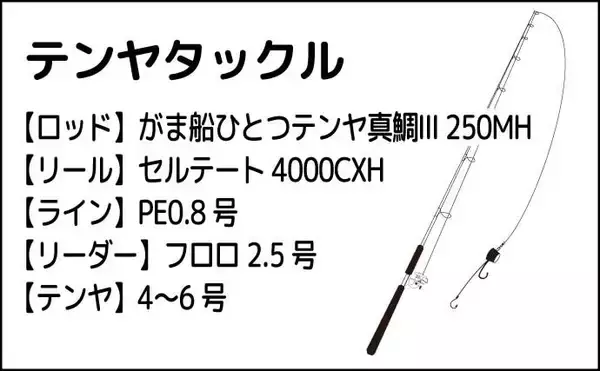 「真夏のテンヤマダイ釣りで50cm本命【福岡・関門エリア】好ゲストに大型キジハタ」の画像