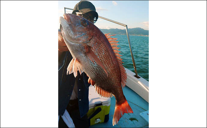 真夏のテンヤマダイ釣りで50cm本命【福岡・関門エリア】好ゲストに大型キジハタ