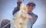 「陸っぱりエギング釣行で1.2kgアオリイカ【島根】ゲストにケンサキイカも顔見せ」の画像1