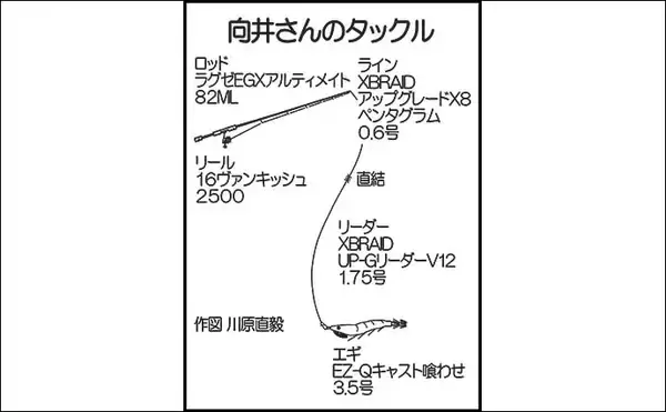 「陸っぱりエギング釣行で1.2kgアオリイカ【島根】ゲストにケンサキイカも顔見せ」の画像