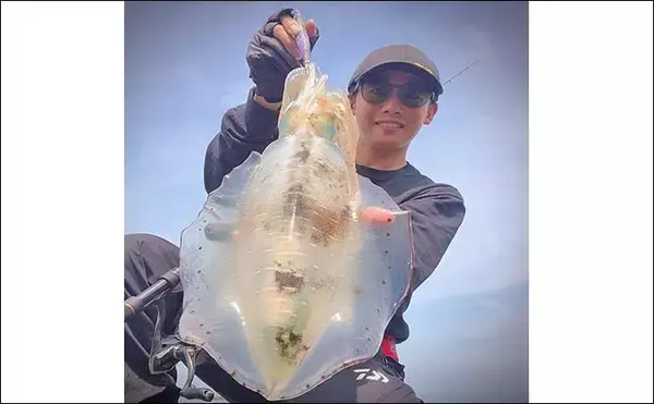 「陸っぱりエギング釣行で1.2kgアオリイカ【島根】ゲストにケンサキイカも顔見せ」の画像