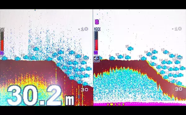 「明石沖ボートジギング釣行で50cm級ハマチ2匹　強いベイト反応出ればチャンス！」の画像
