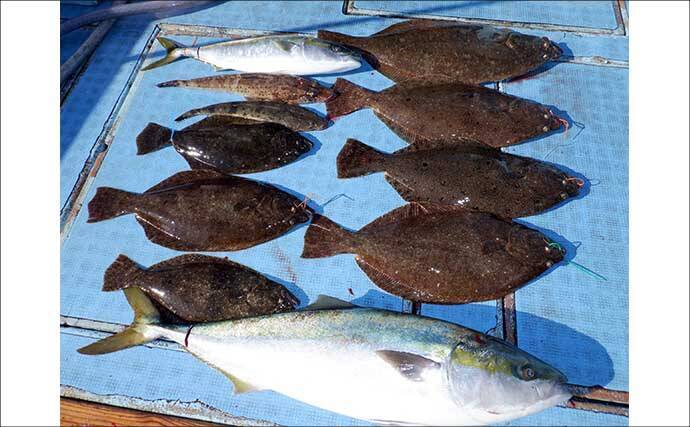 【沖釣り釣果速報】良型クエ登場で船上騒然！イワシ泳がせ釣りで高級食材乱舞（愛知）