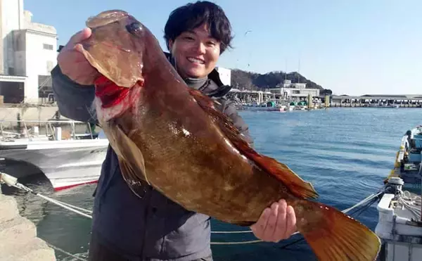 「【沖釣り釣果速報】良型クエ登場で船上騒然！イワシ泳がせ釣りで高級食材乱舞（愛知）」の画像